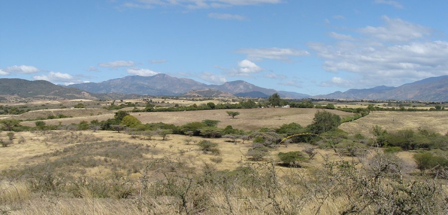 Dry desert landscape 