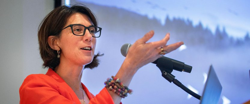 Wendy Wolford addressing an audience.