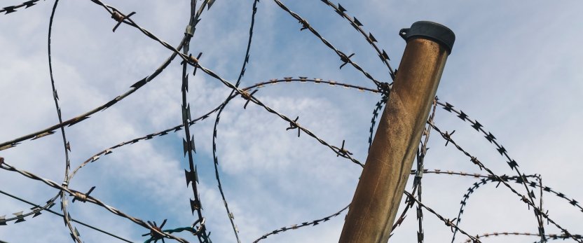 Barbed wire fence