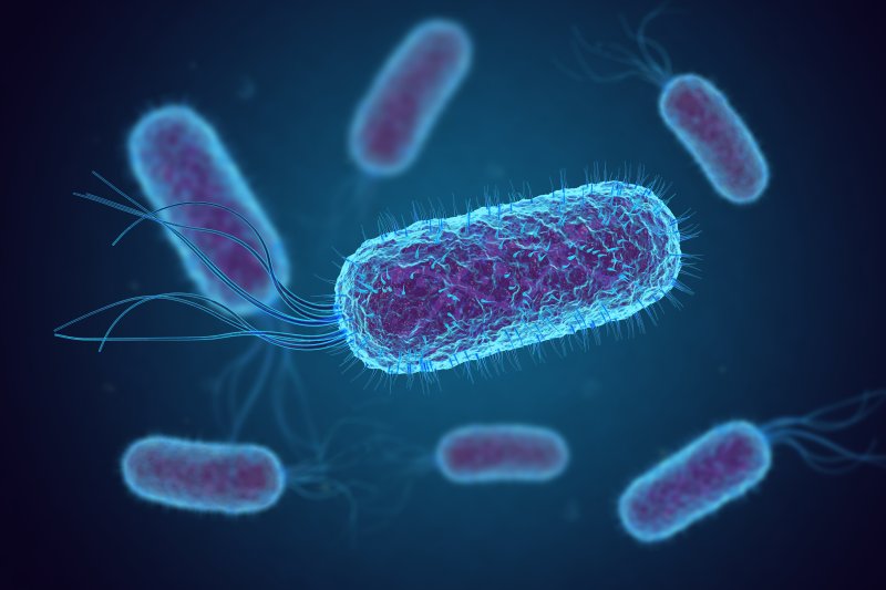 E. coli illustration