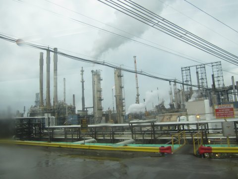 Plant producing greenhouse gasses 