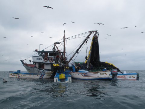 Fishing boats on the water 