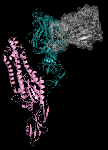 GH Seed Grant Award 2024 - Whittaker
