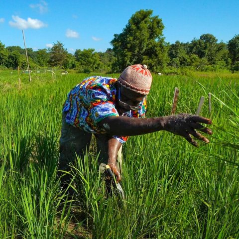 Two people working in a grassy field.