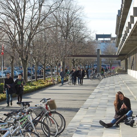 Students sitting on a stoop across from bicycles with other kids coming down the path