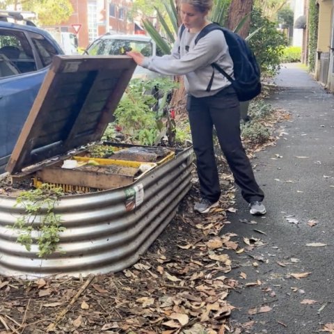 Intern shows off a bench that doubles as a public compost system.